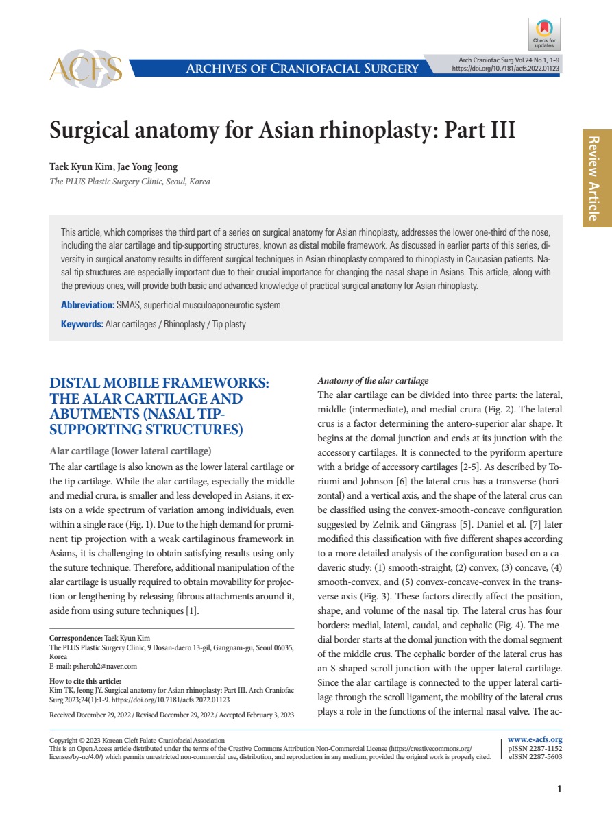 Surgical anatomy for Asian rhinoplasty: Part III